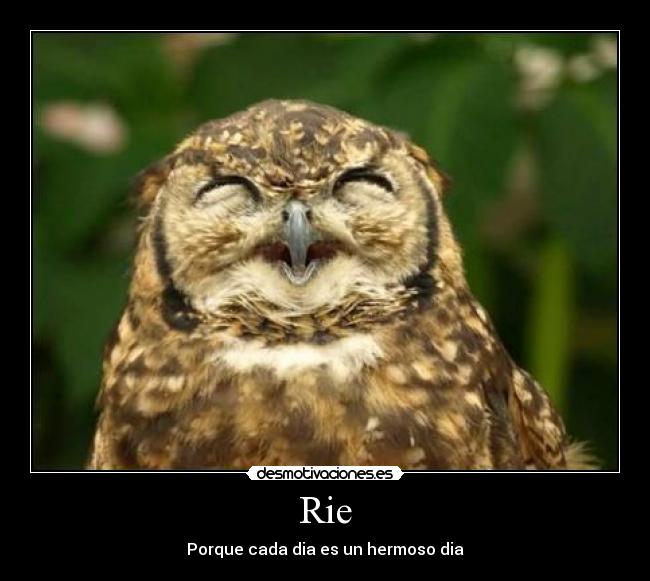 Rie - Porque cada dia es un hermoso dia