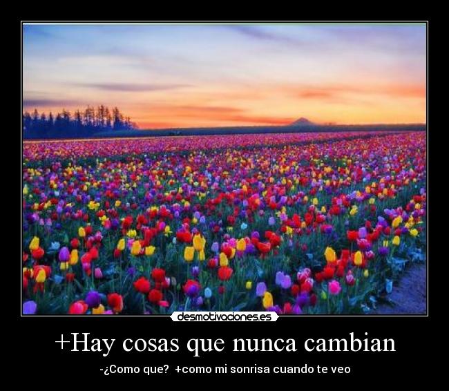 carteles rosana98 desmotivaciones