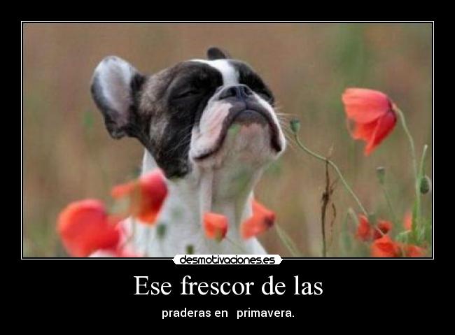 Ese frescor de las - praderas en primavera.