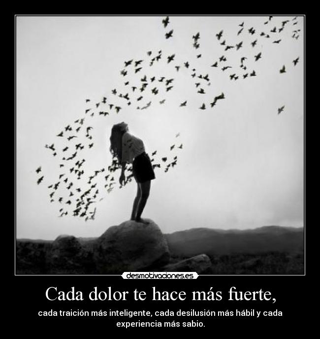 Cada dolor te hace más fuerte, - cada traición más inteligente, cada desilusión más hábil y cada
experiencia más sabio.