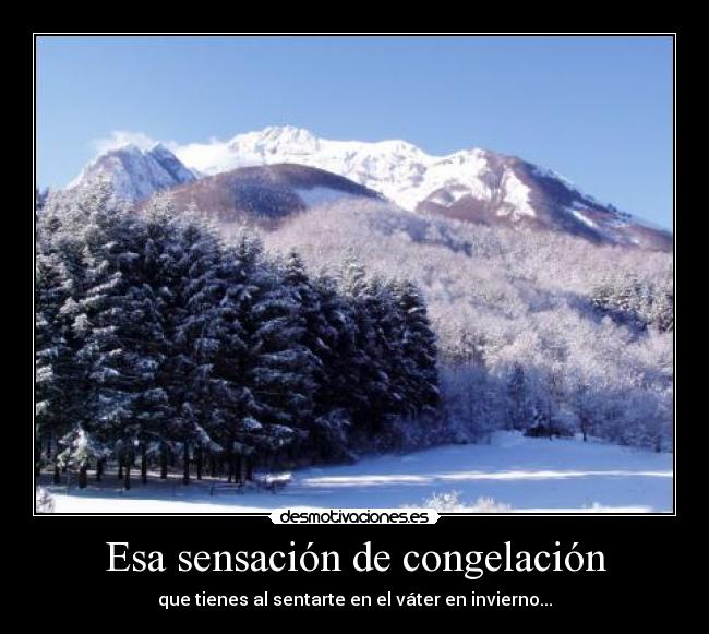 Esa sensación de congelación - que tienes al sentarte en el váter en invierno...