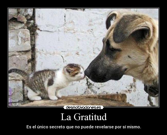 La Gratitud - 