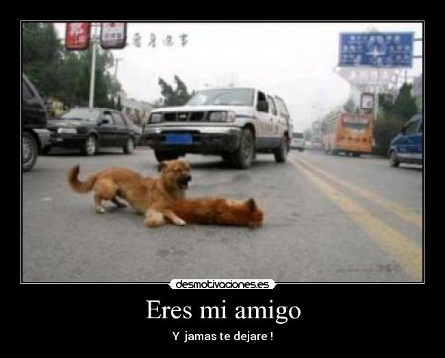 Eres mi amigo -