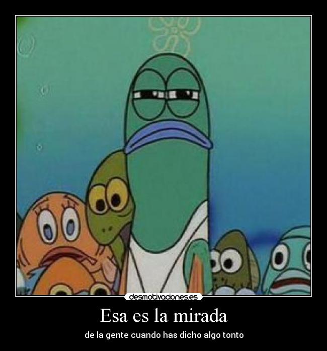 Esa es la mirada - de la gente cuando has dicho algo tonto