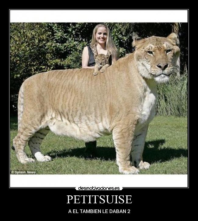 carteles vivoencueva20 desmotivaciones