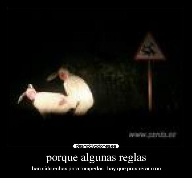 porque algunas reglas -