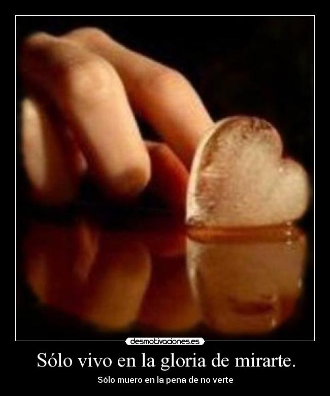 Sólo vivo en la gloria de mirarte. - Sólo muero en la pena de no verte