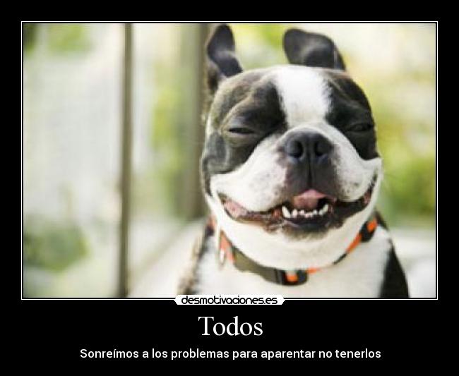 Todos - 