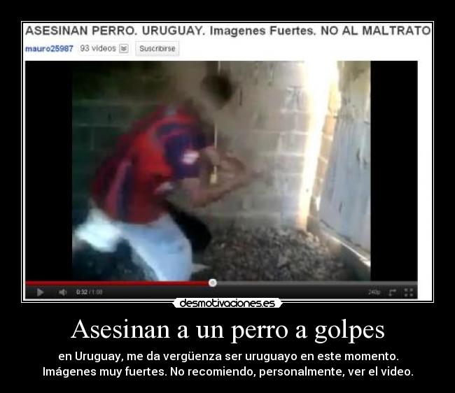 carteles asesinan perro golpes uruguay desmotivaciones