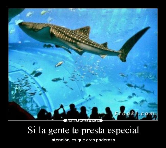 Si la gente te presta especial - atención, es que eres poderoso