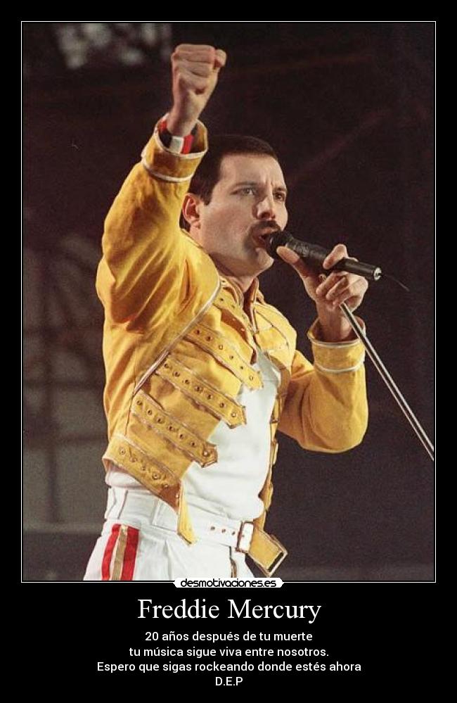 Freddie Mercury -