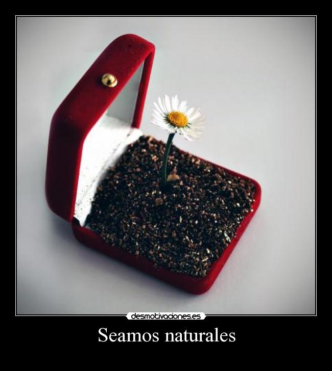 carteles ahi dejo fuerza valor hakunamatata bocachancla desmotivaciones