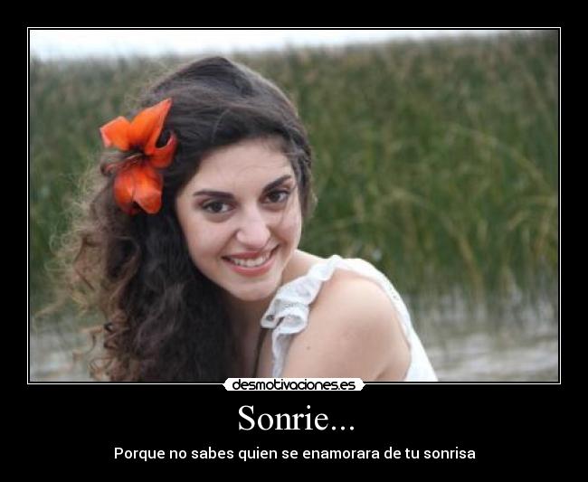 carteles sonrie desmotivaciones