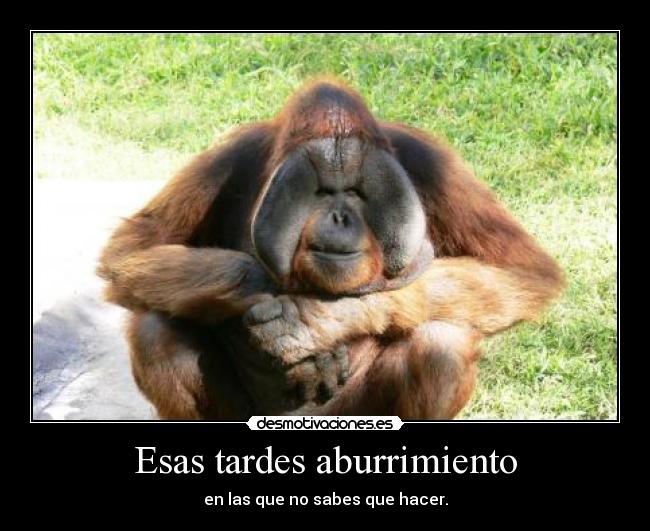 Esas tardes aburrimiento - en las que no sabes que hacer.