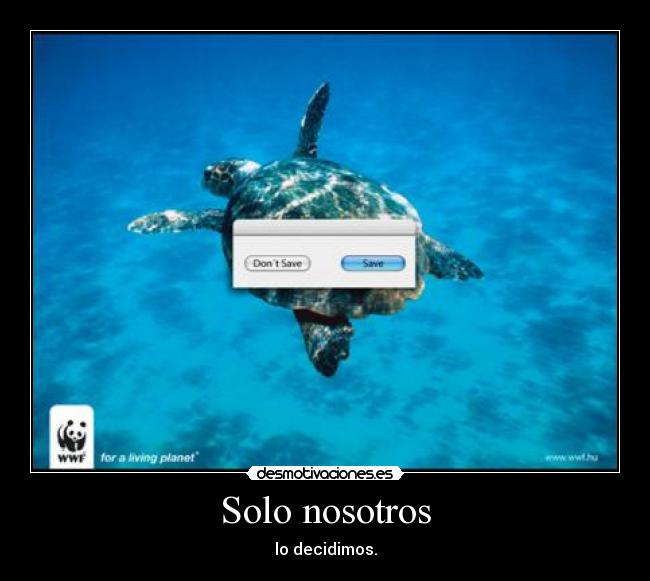 Solo nosotros - lo decidimos.