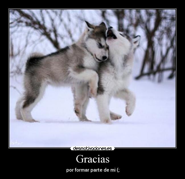 Gracias - por formar parte de mi (;