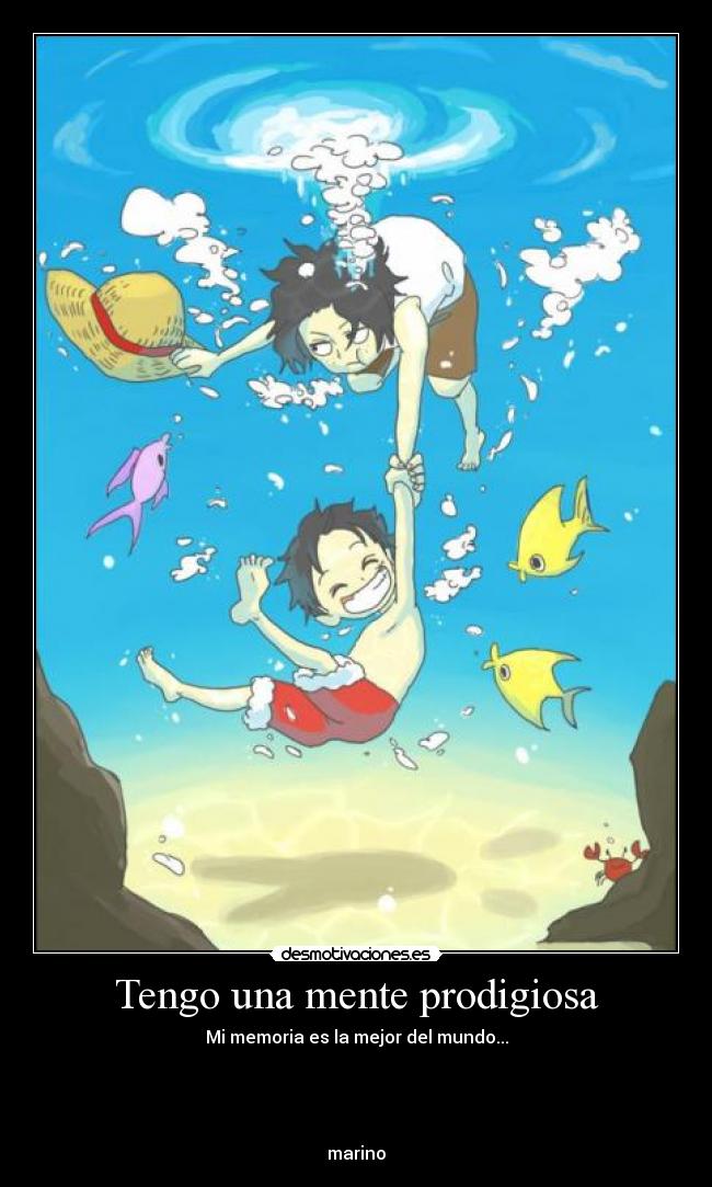 carteles one piece luffy ace peces agua mente mundo marino olvidan las cosas desmotivaciones