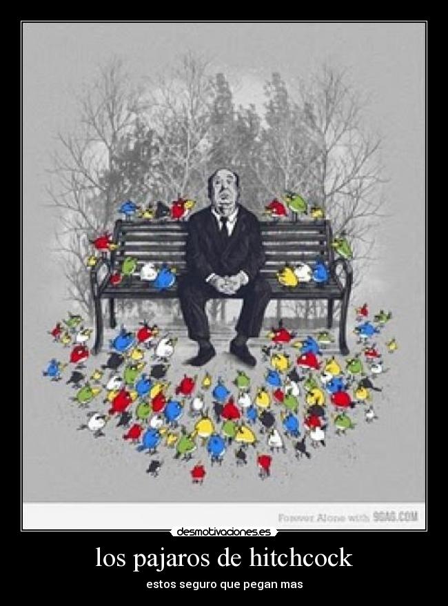 los pajaros de hitchcock - 
