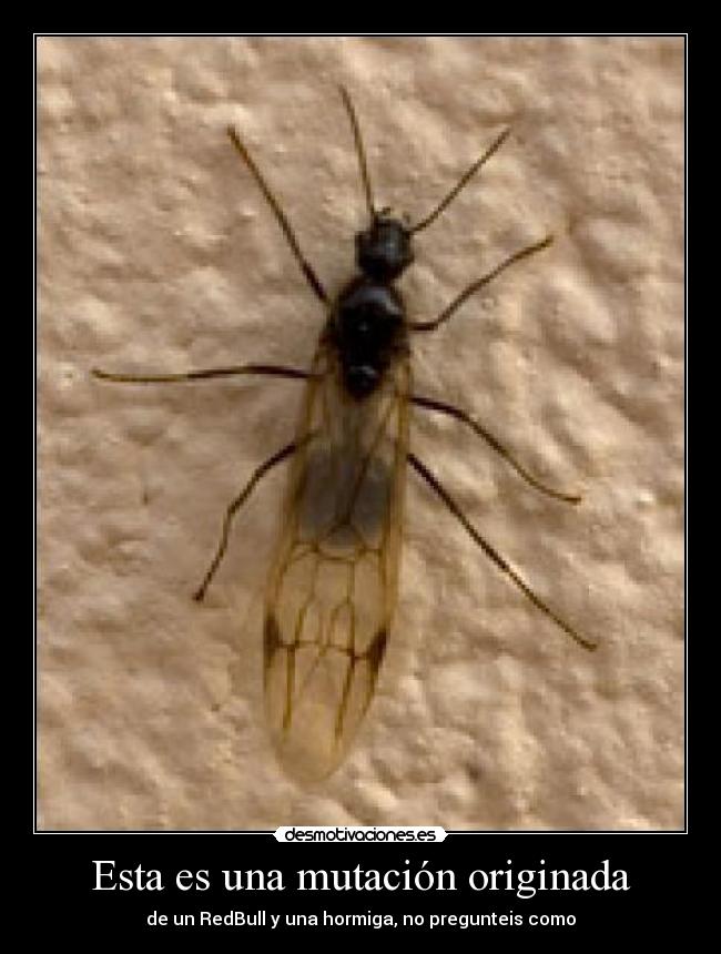 Esta es una mutación originada -