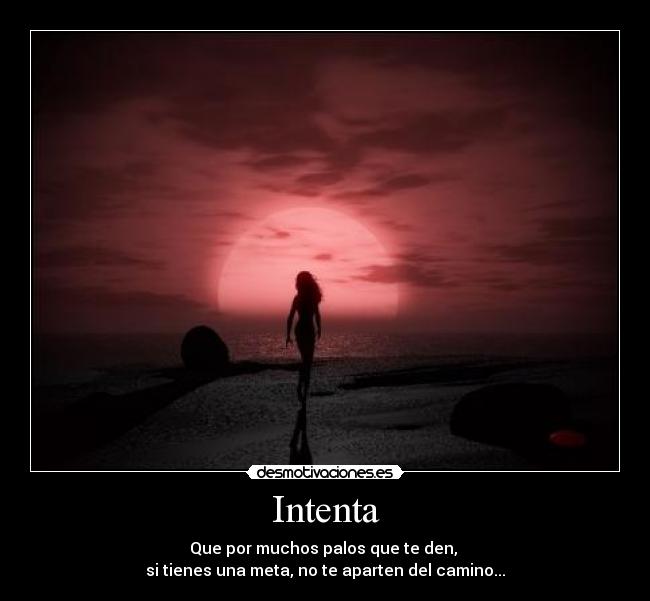 Intenta -