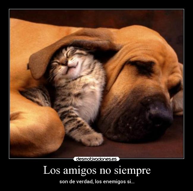 Los amigos no siempre - son de verdad, los enemigos si...