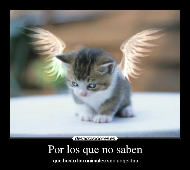 Por los que no saben -