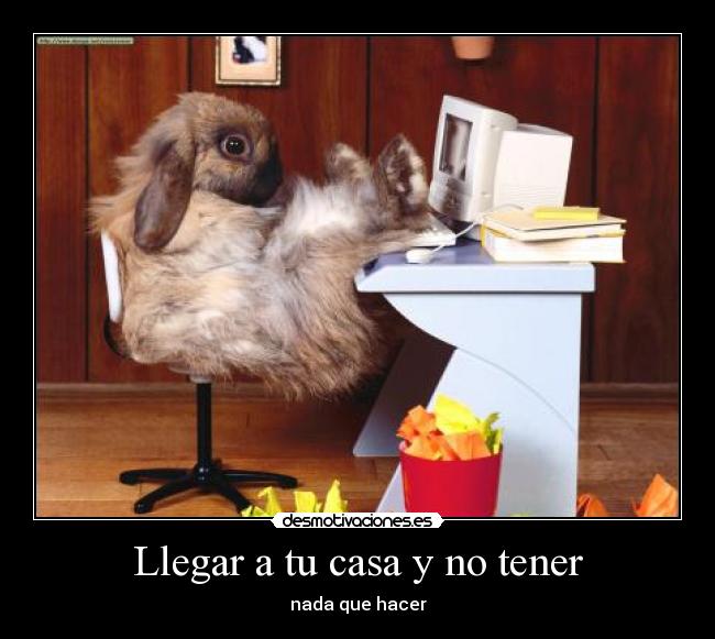 carteles casa conejo cagado flojo computadora ammm mmmm zzzz desmotivaciones
