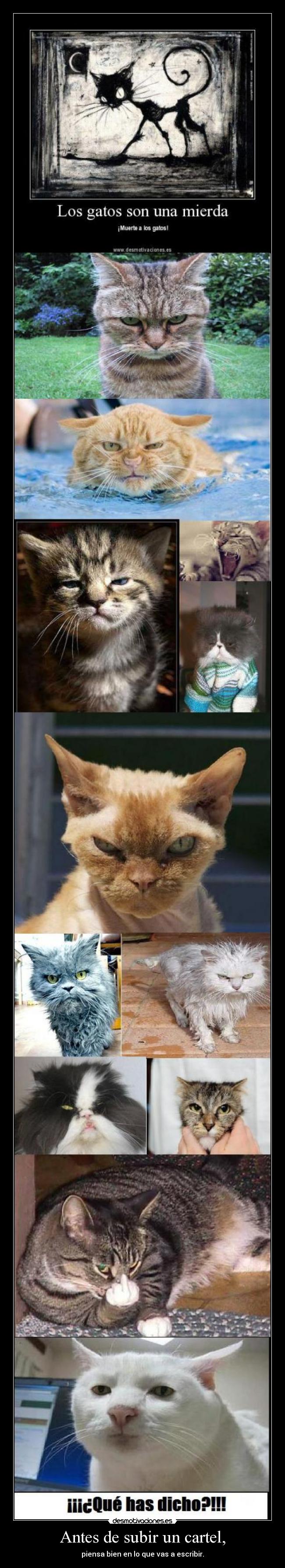 Antes de subir un cartel, - piensa bien en lo que vas a escribir.