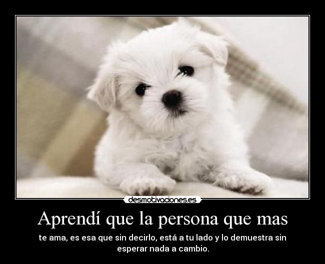 Aprendí que la persona que mas -