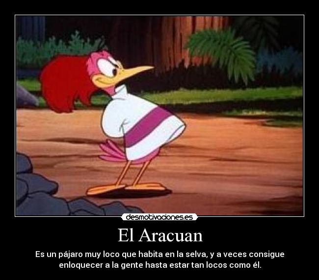 El Aracuan - 