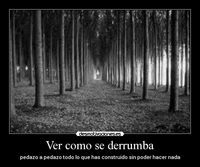 Ver como se derrumba - 