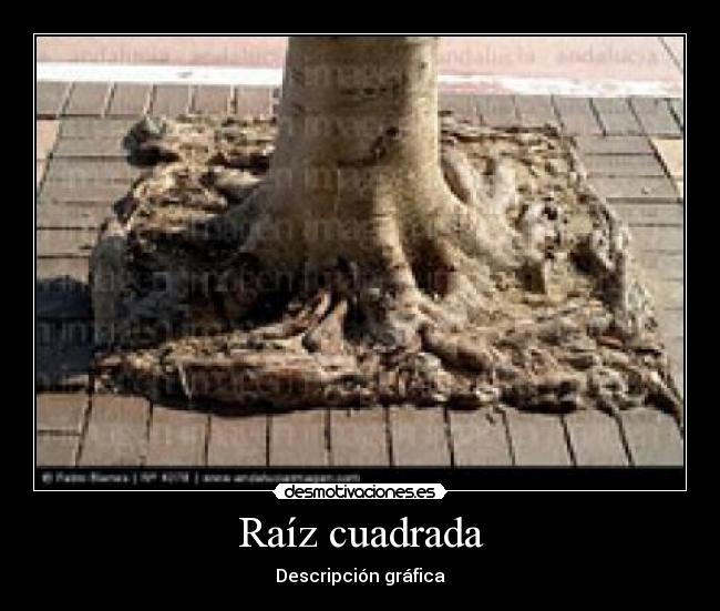 Raíz cuadrada - Descripción gráfica