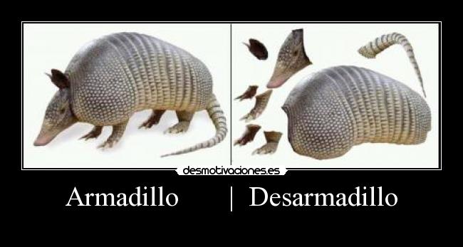 Armadillo       |  Desarmadillo - 