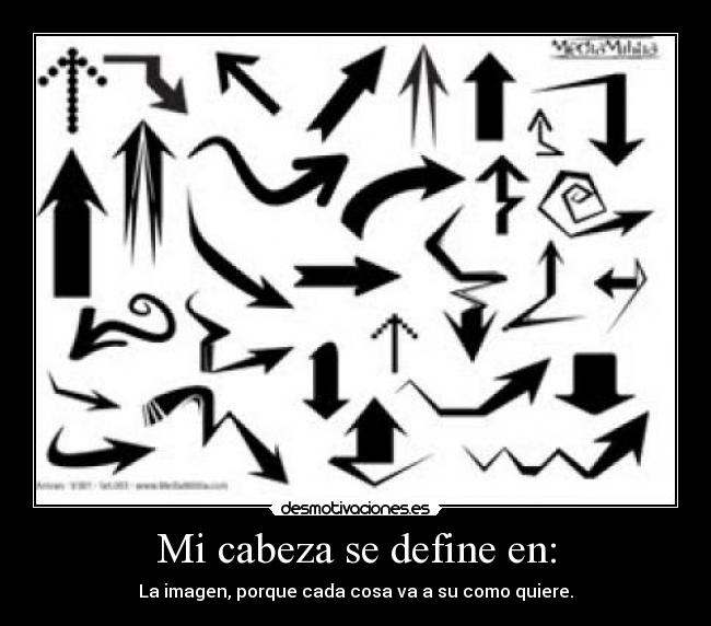 Mi cabeza se define en: - La imagen, porque cada cosa va a su como quiere.