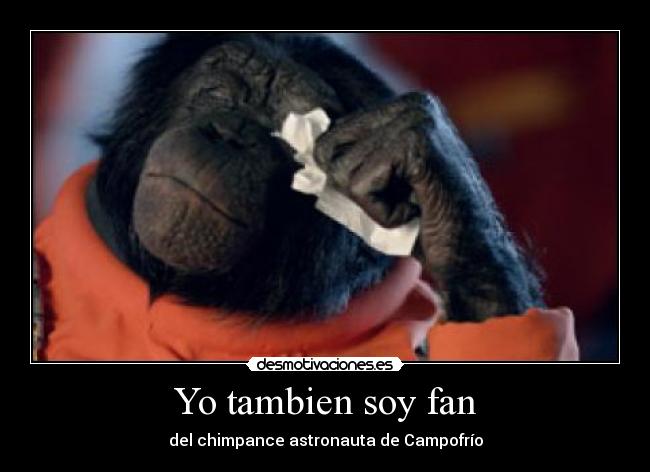 Yo tambien soy fan - del chimpance astronauta de Campofrío