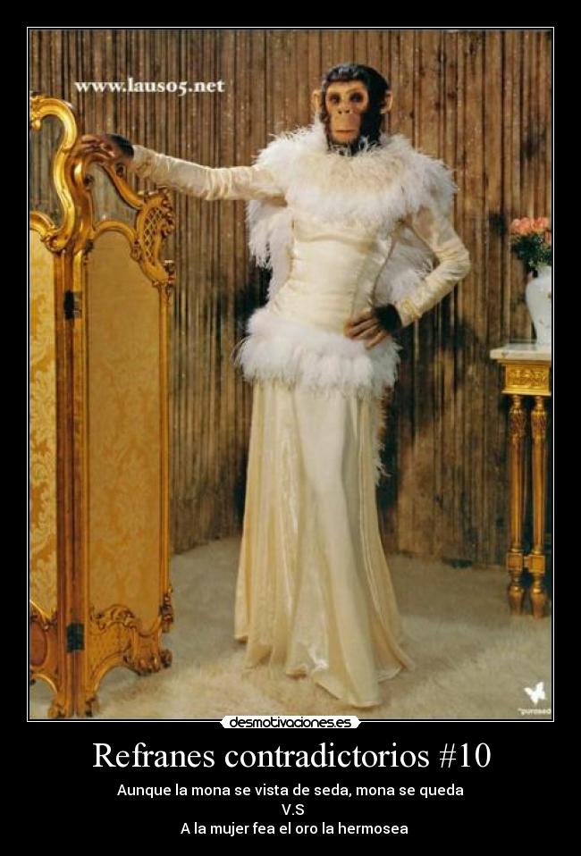 Refranes contradictorios #10 - Aunque la mona se vista de seda, mona se queda
V.S
A la mujer fea el oro la hermosea