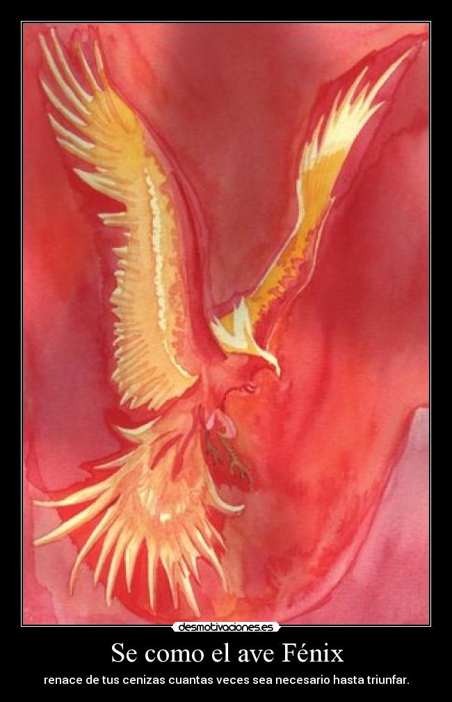 Se como el ave Fénix - renace de tus cenizas cuantas veces sea necesario hasta triunfar.