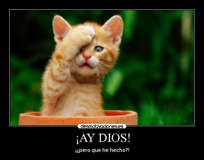 ¡AY DIOS! - 