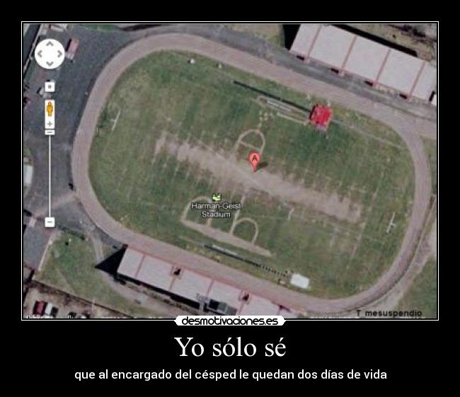 Yo sólo sé - que al encargado del césped le quedan dos días de vida