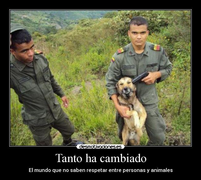 Tanto ha cambiado - El mundo que no saben respetar entre personas y animales