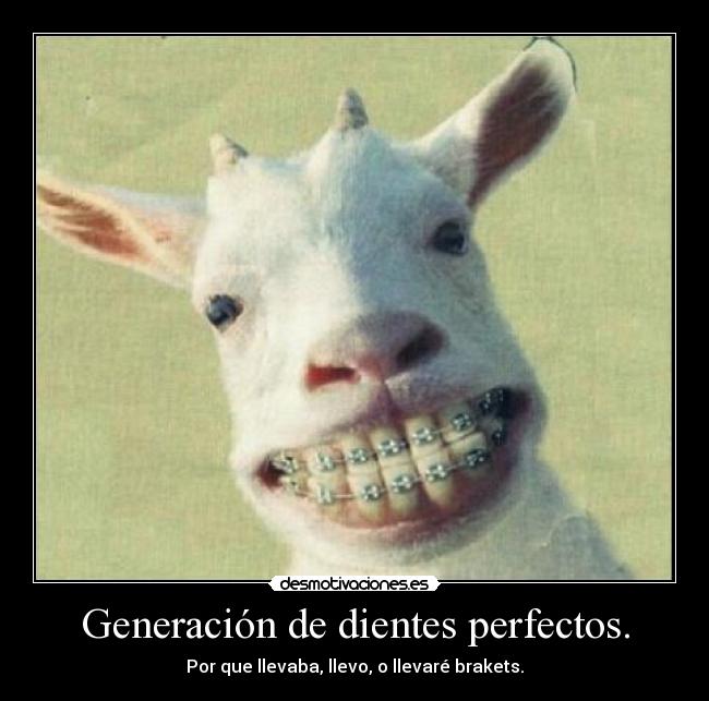 Generación de dientes perfectos. - 