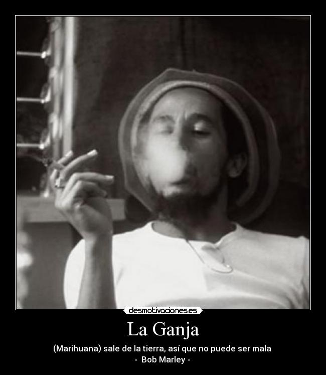 La Ganja - (Marihuana) sale de la tierra, así que no puede ser mala
- Bob Marley - ♥