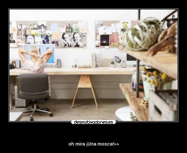  - oh mira ¡Una mosca!>>