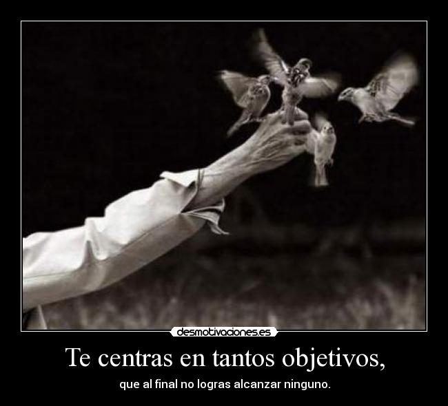 Te centras en tantos objetivos, - que al final no logras alcanzar ninguno.