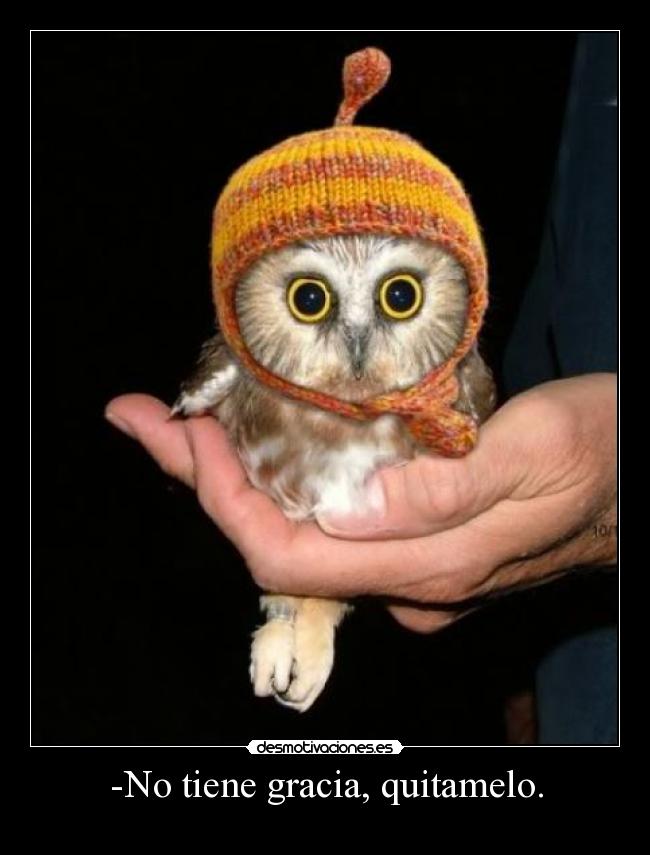 -No tiene gracia, quitamelo. -