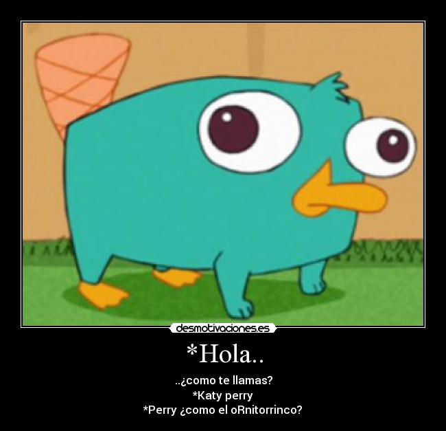 *Hola.. - ..¿como te llamas?
*Katy perry
*Perry ¿como el oRnitorrinco?