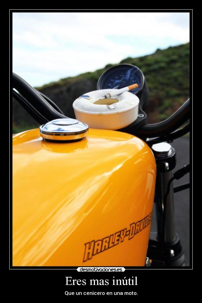 Eres mas inútil -