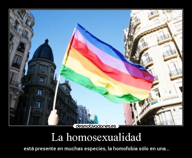 La homosexualidad - está presente en muchas especies, la homofobia sólo en una...