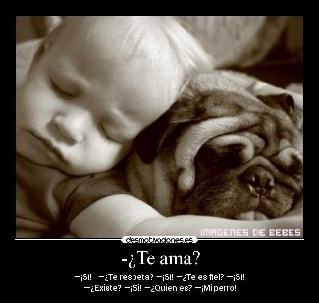 -¿Te ama? - —¡Si! ♥ —¿Te respeta? —¡Si! —¿Te es fiel? —¡Si!
—¿Existe? —¡Si! —¿Quien es? —¡Mi perro!