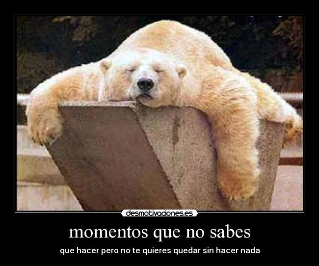 momentos que no sabes - que hacer pero no te quieres quedar sin hacer nada